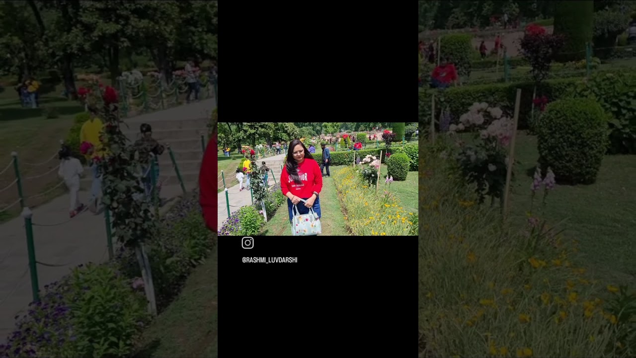 dekho Kitne khubsurat flowers h 💐..#shortsvideo #shortsyoutube #viral #flowers #garden #cheshmasahi