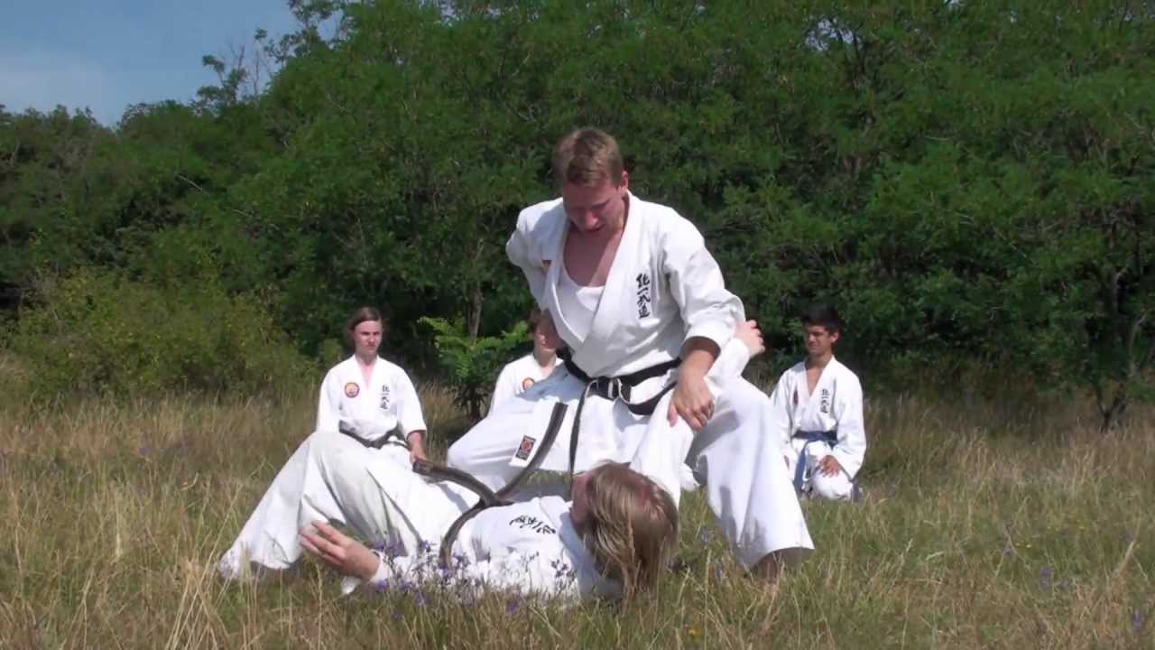 Tong-Il Moo-Do One-Step Sparring Formation Stage