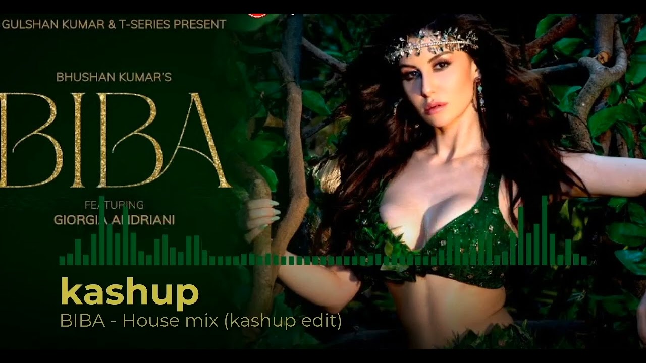 Biba  - House mix | (kashup edit)