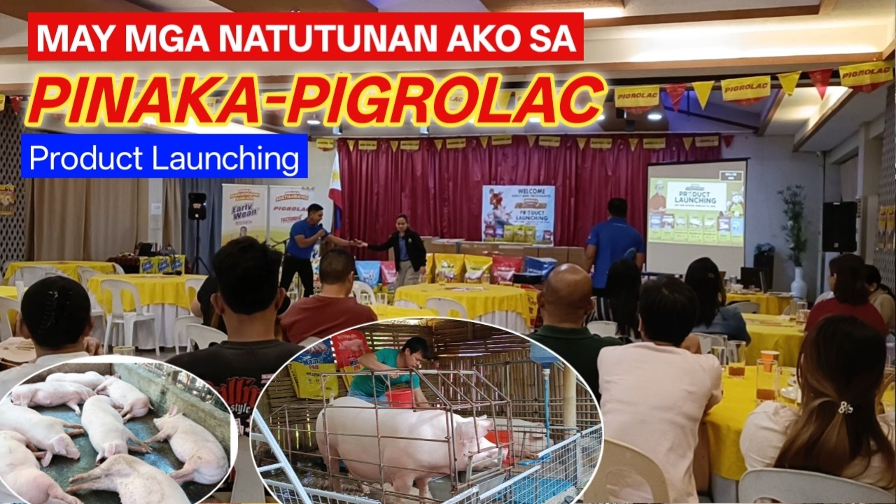 May mga natutunan ako sa Pinaka-Pigrolac Product Launching