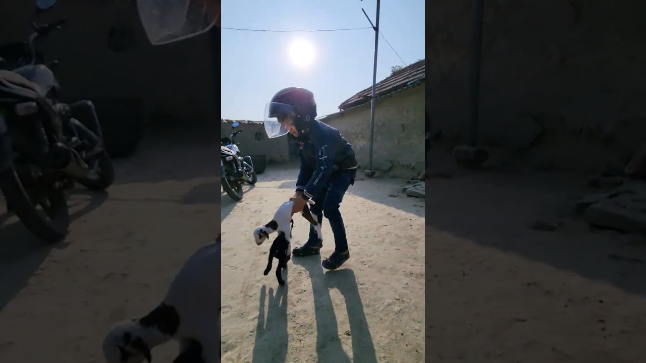वीरान गाँव में सफेद बकरी का बच्चा! 🐐 Pramas उसे पकड़ने के लिए दौड़ा 😂 | Pramasland Village Adventure