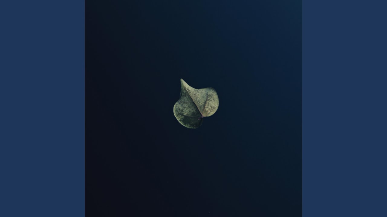 Alive Within (Session Mix)