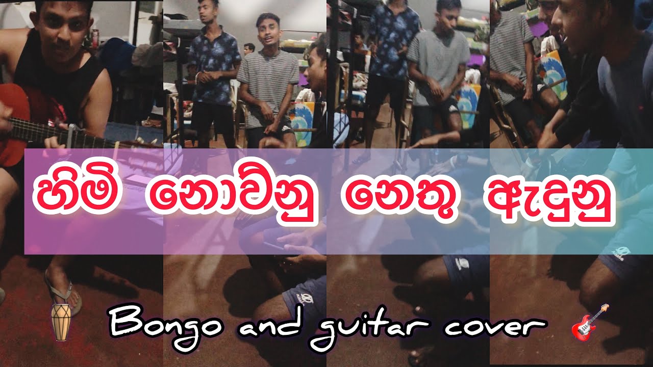 හිමි නොව්න නෙතු ඇදුනු /himi nowunu nethu edunu/ bongo and guitar cover/ bachi susan @bodima_official775