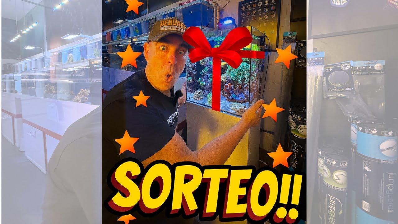 ¡El acuario completo PUEDE SER TUYO! En directo lo regalo