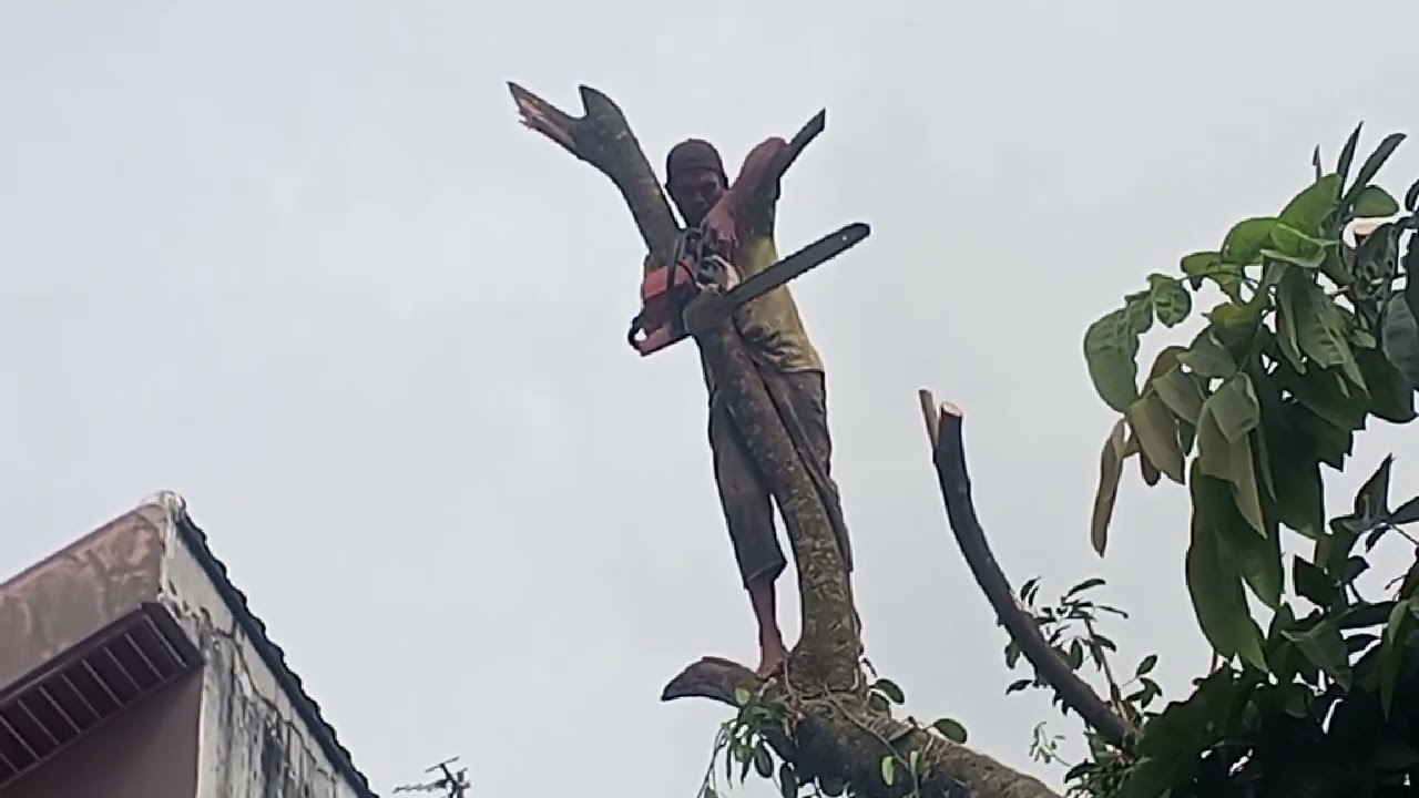 Lokasi sulit ‼️ sempit banyak tanaman yang masih berguna 