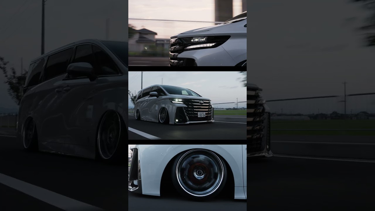 T-DEMAND 40VELLFIRE Made by pit bull #shorts