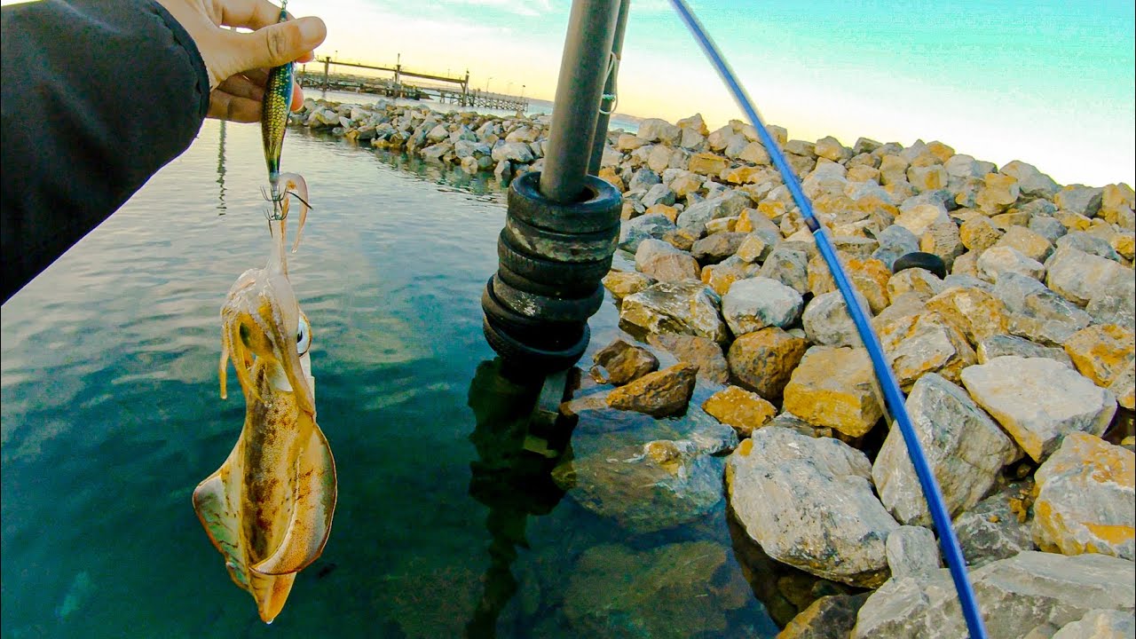 Adelaide Squid Fishing | Cape Jervis +Second Valley | SA - [17-03-2022]