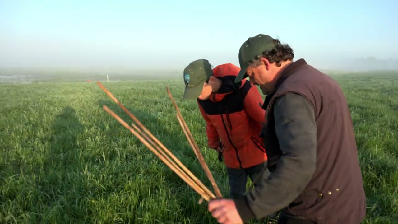Boer Teun boert anders met Fries roodbonte koeien.