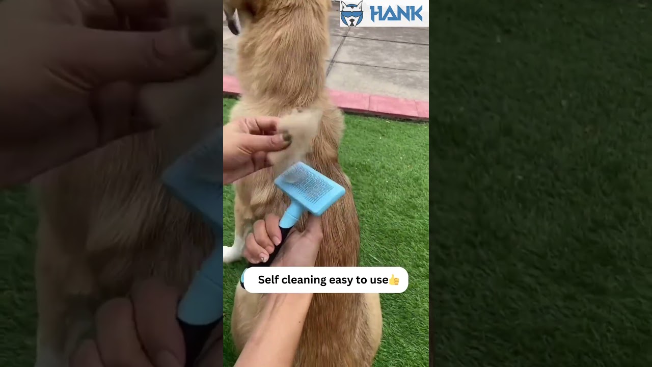 Never underestimate the power of a good brushing.  