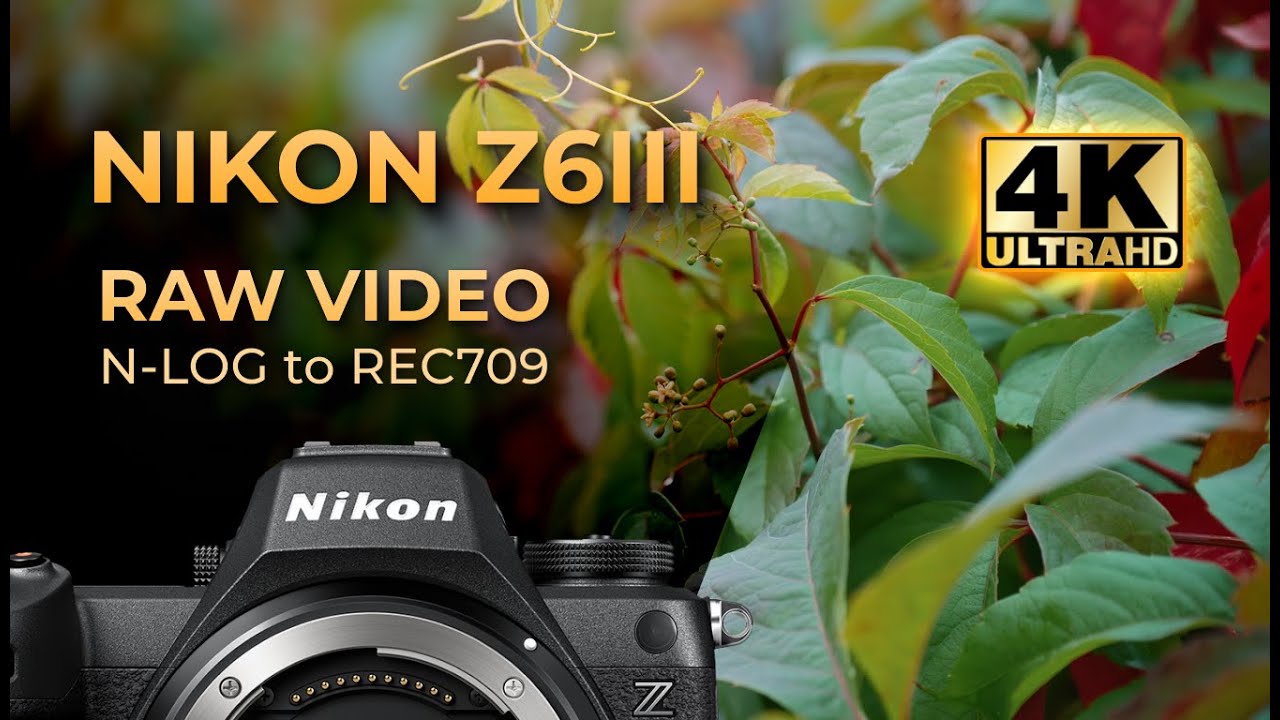 Nikon Z6III RAW video footage