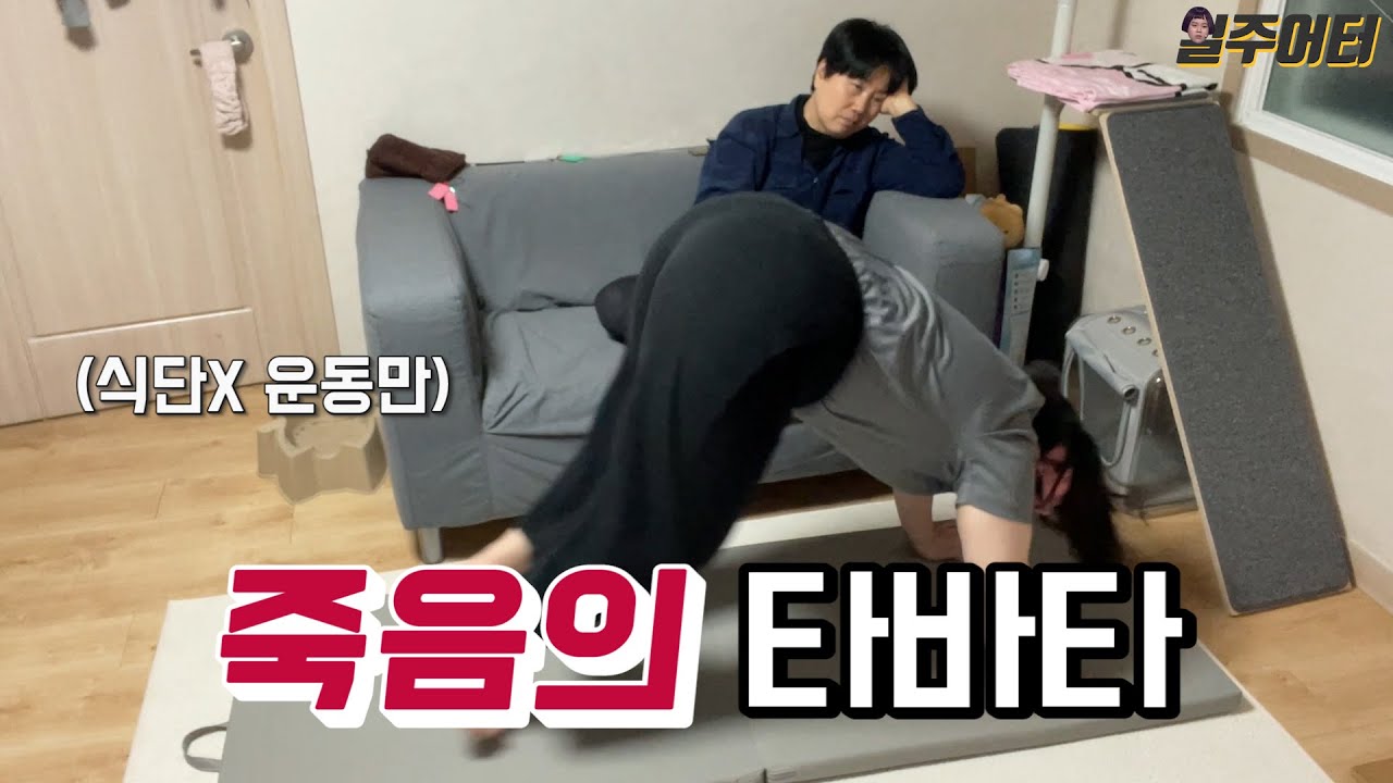 살이 너무 빠진다길래 한 번 해봤습니다. (Feat. 에이핏)