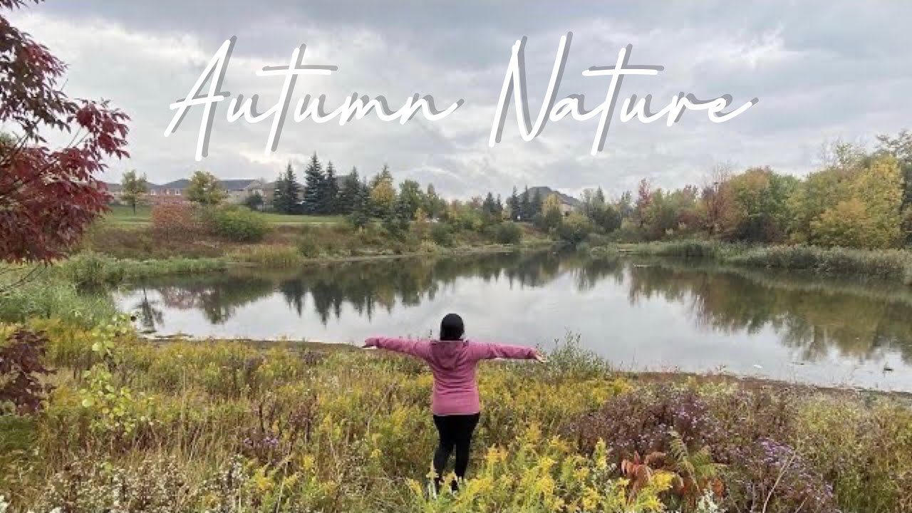 Autumn Nature Cinematic Video / Relaxing Music with River Sounds / Autumn Leaves Falling