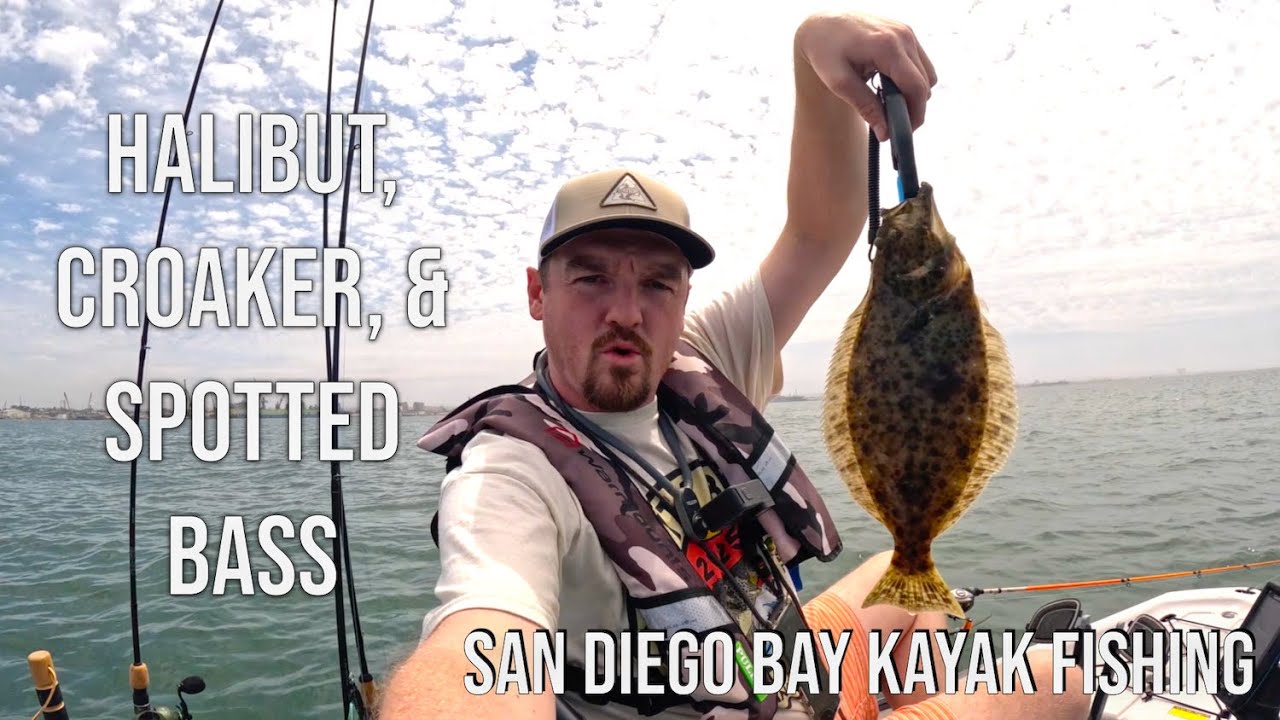 Halibut, Croaker and Spotted Bass Fishing in San Diego Bay #kayakfishing #outdoors #explore #ocean