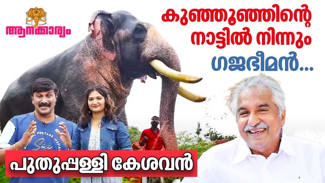 EP 73 | കുഞ്ഞൂഞ്ഞിന്റെ നാട്ടിൽ നിന്നും അതിവേഗം ബഹുദൂരം മുന്നേറിയവൻ, പുതുപ്പള്ളി കേശവൻ | Aanakkaryam