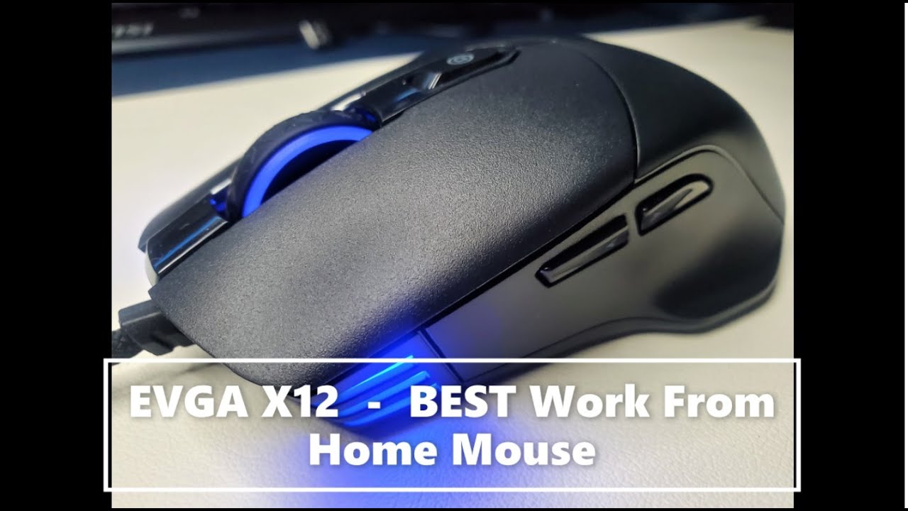 EVGA X12 - BEST BUDGET Work From Home Mouse? (Part 1)