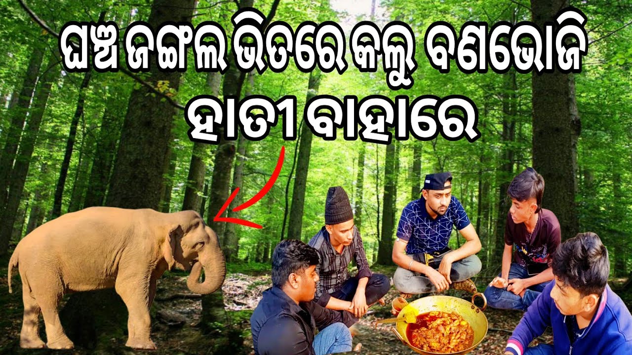 ଘଞ୍ଚ ଜଙ୍ଗଲ ଭିତରେ କଲୁ ବଣଭୋଜି ।। ହାତୀ ବାହାରେ ।। Raju lifestyle vlog 