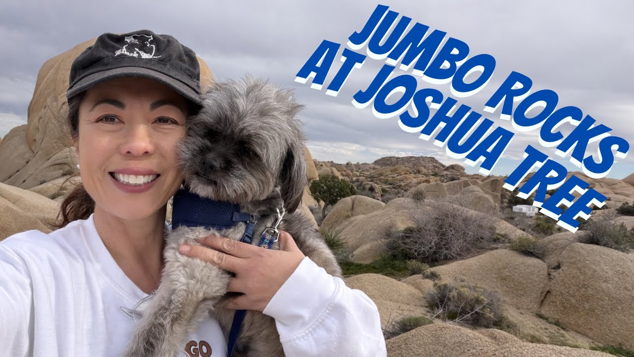Minivan Camping in Joshua Tree w/ My Dog | Jumbo Rocks Campground and Teddy’s Wisdom Panel DNA Test