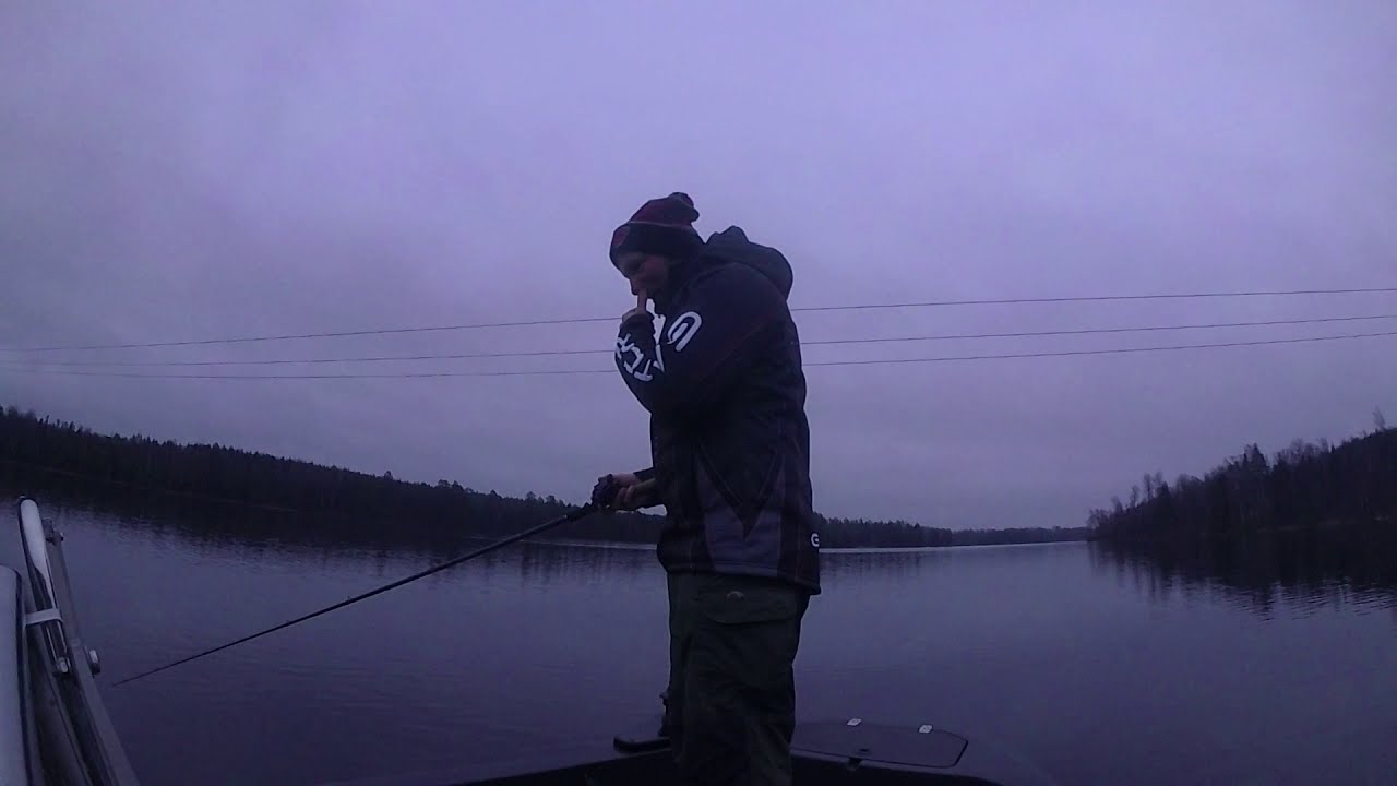 December Fiske  Gator