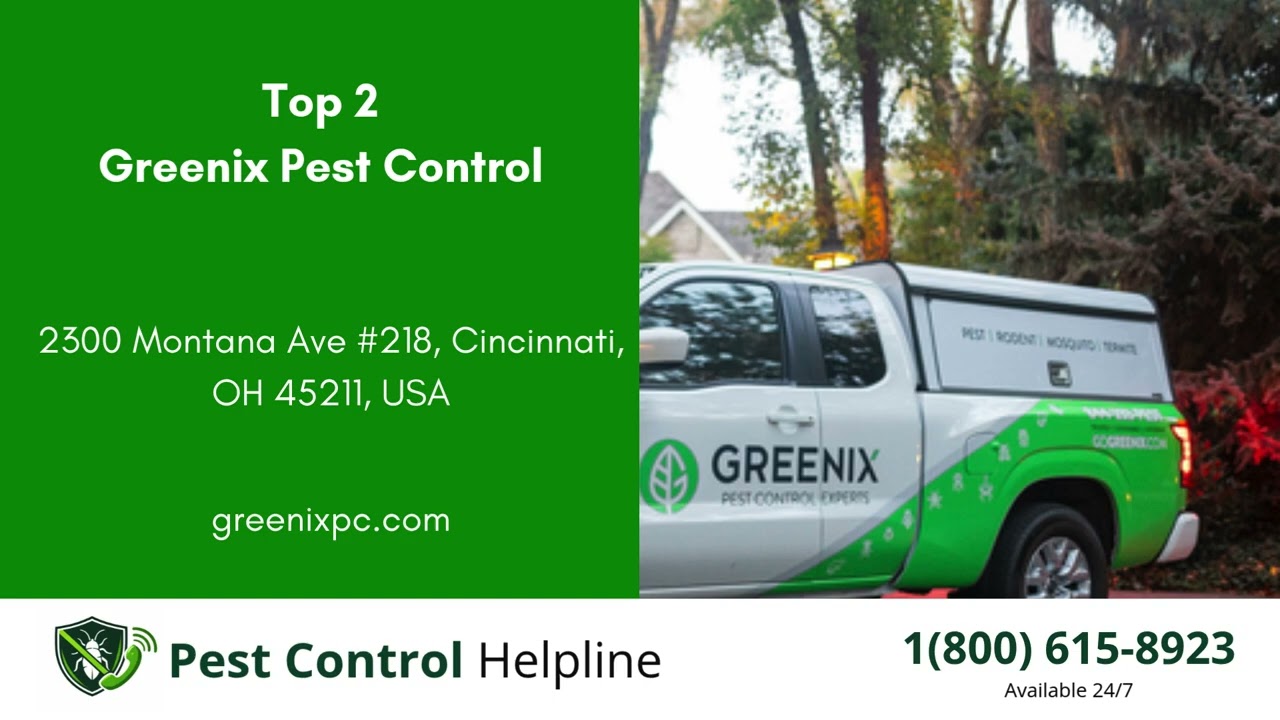 Top 3 Pest Control in Bridgetown
