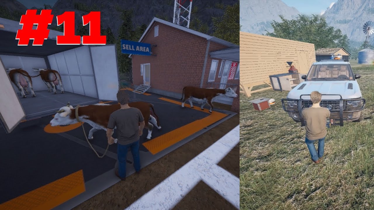 اشتريت سيارة للتنقل 😍 و اربع بقرات 🐄 | Ranch Simulator #11