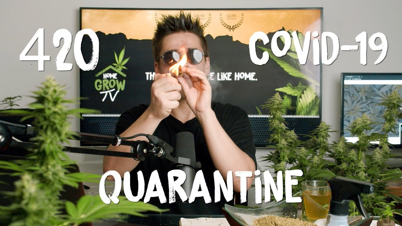 420 Celebration in Corona Quarantine | Giveaways, Blunts, Dabs, Edibles and Unboxing New LED Lights
