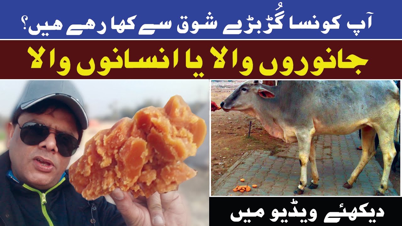 gur banane ka tarika how to make jaggery | Asli Gur Ki Pehchan | gur recipe |