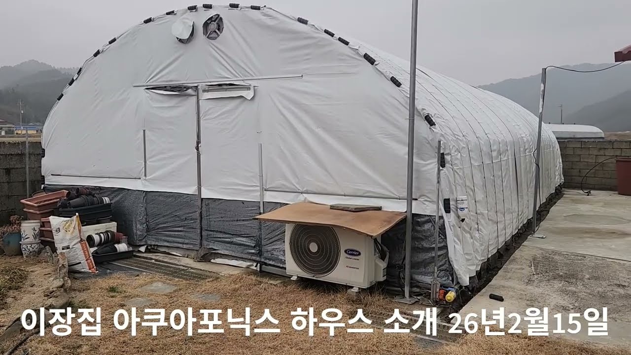 귀촌  취미생활 아쿠아 포닉스 소개