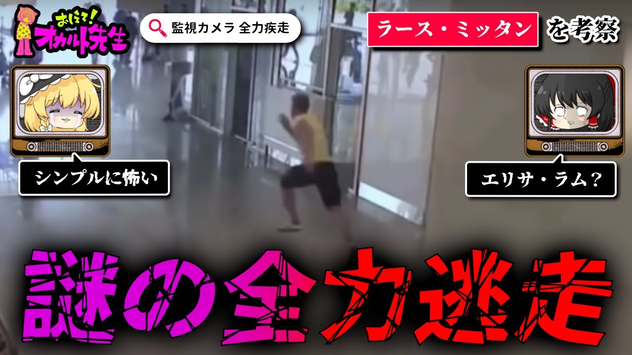 【未解決事件】監視カメラに映る謎の全力失踪ラース・ミッタンを考察【ゆっくり解説】