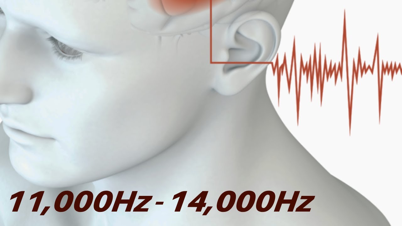 Высокочастотные тоны - звуки для снятия шума в ушах 11kHz - 14kHz