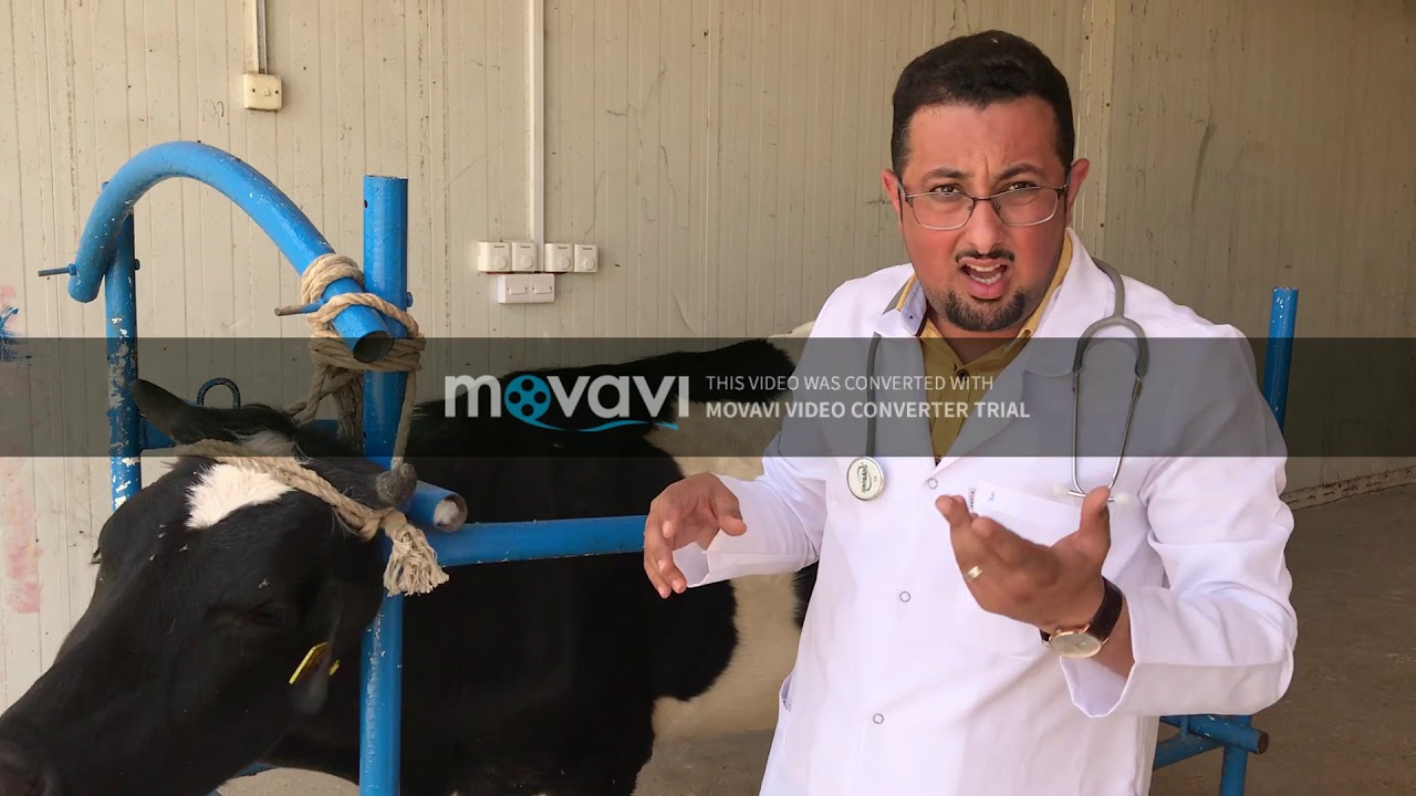 د. محمد الكعبي ( فحص الجهاز القلبي الوعائي)