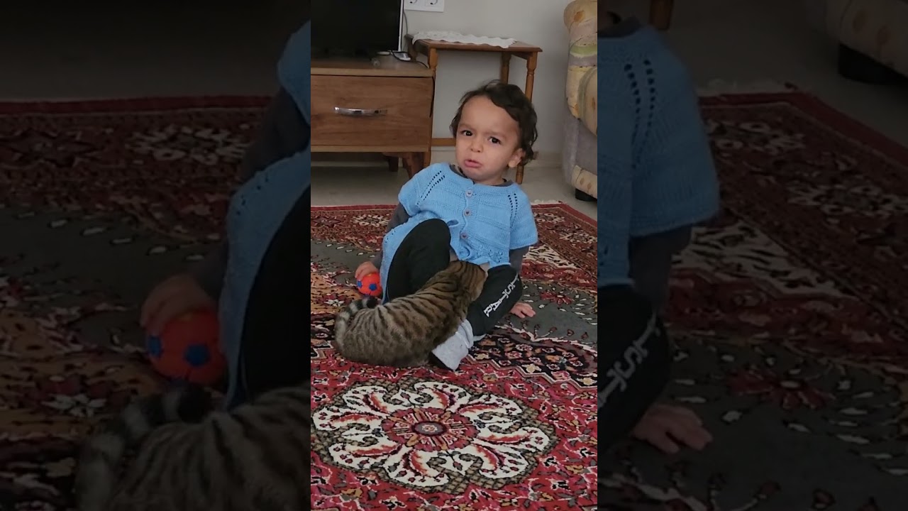 Asil Ömer
