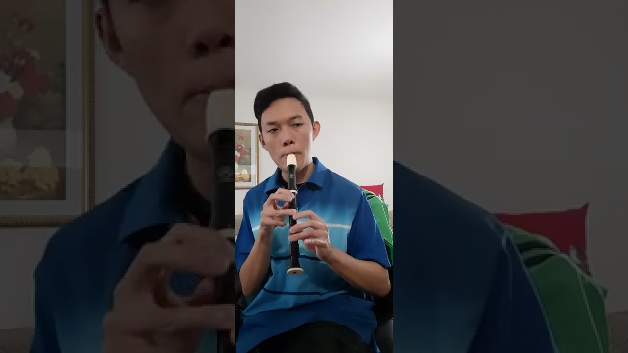 Water Music No.3 Minuet Hwv 350 | Plastic Soprano Recorder Test