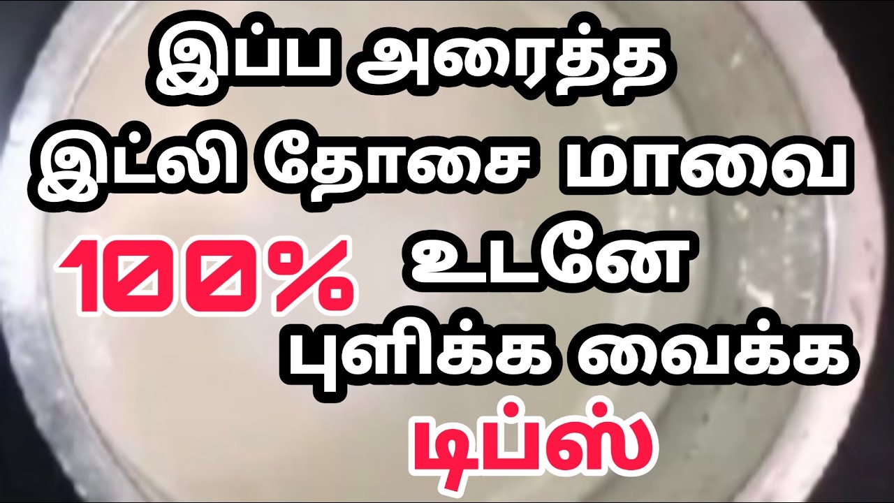100% அரைத்த மாவை உடனே புளிக்க வைக்க டிப்ஸ்/idli maavu pulikka vaippathu eppadi/rasi tips