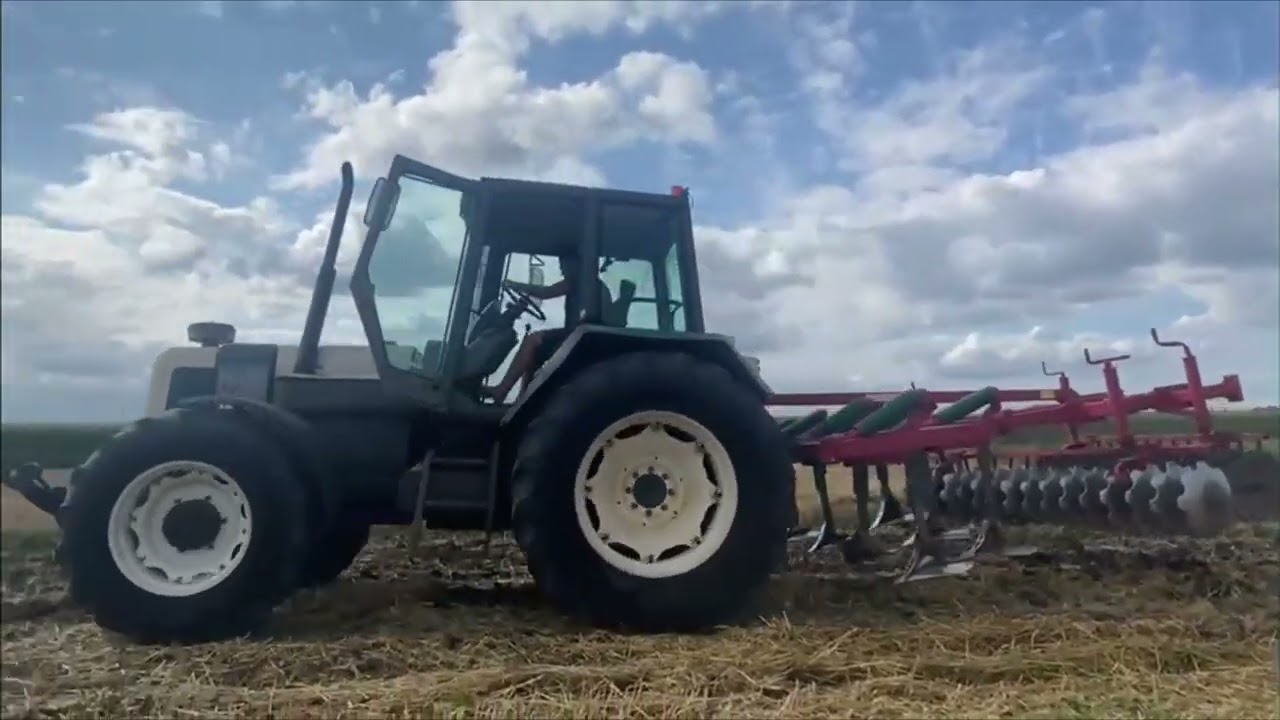 Gruberowanie po ściernisku💪Sierpień 2025🌾