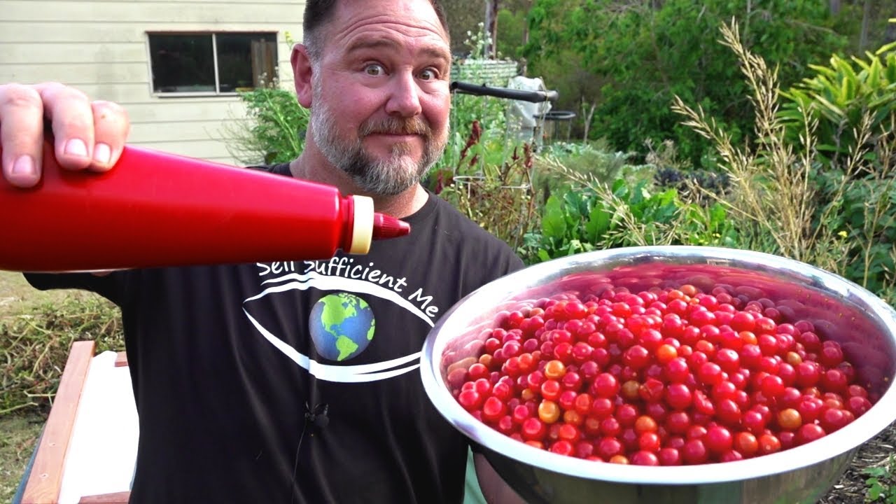 I Used 1761 Mini Tomatoes to Make the BEST Sauce EVER