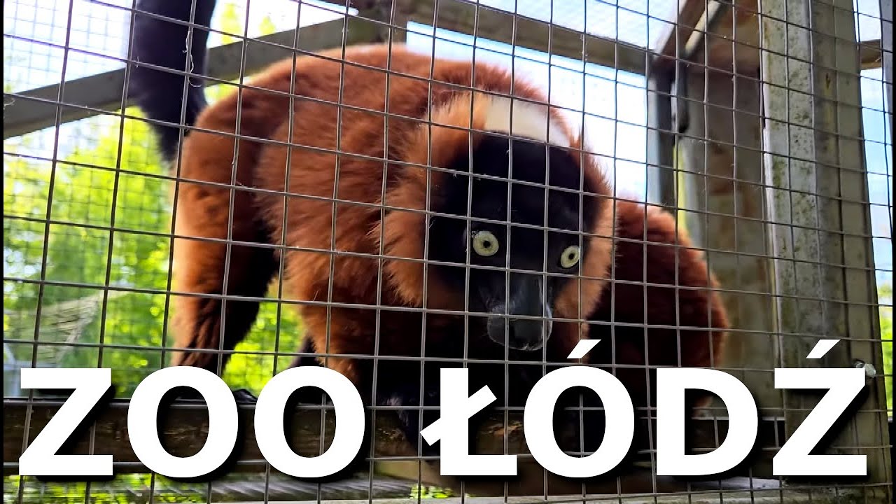 Orientarium | ZOO Łódź 2024