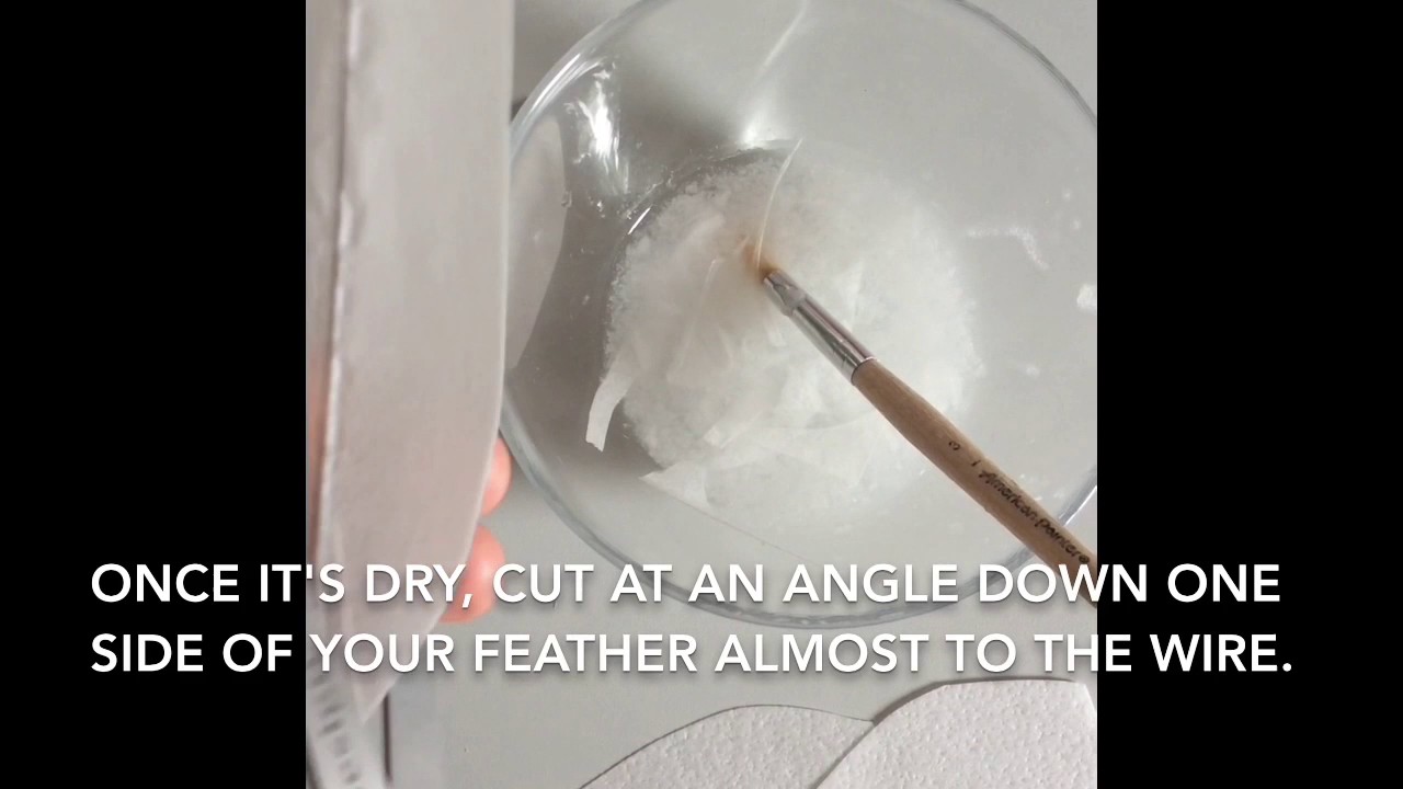 Wafer Paper Feathers