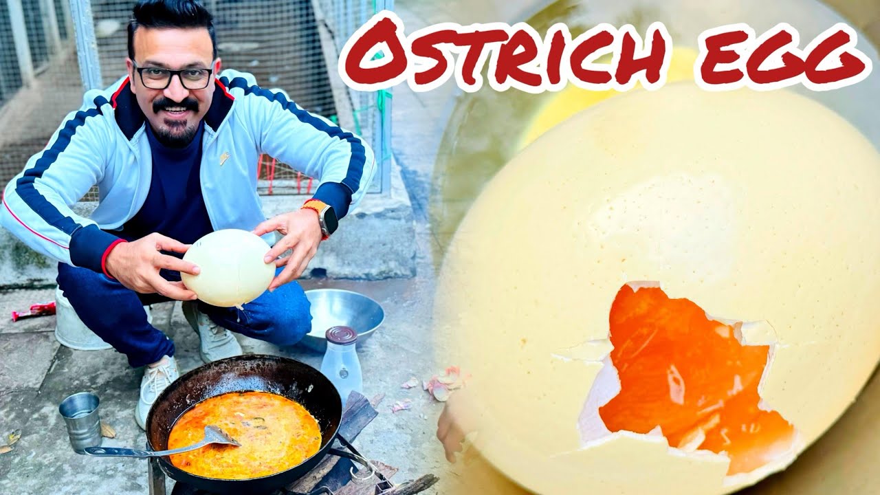 Ostrich ka anda paka k kha lia 🤤|| Cracking open an Ostrich egg🙄