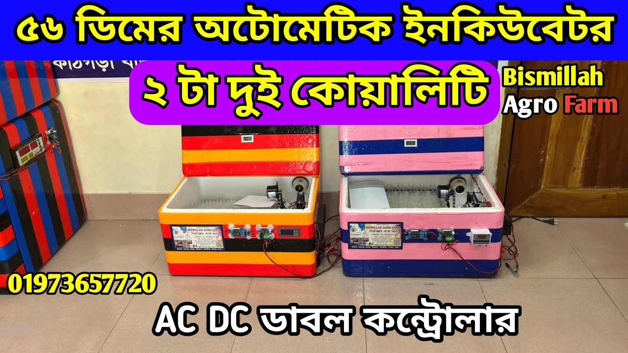 ৫৬ ডিমের অটো ইনকিউবেটর ভালো মানের| বিসমিল্লাহ এগ্রো ফার্ম Bismillah Agro Farm 01973657720 