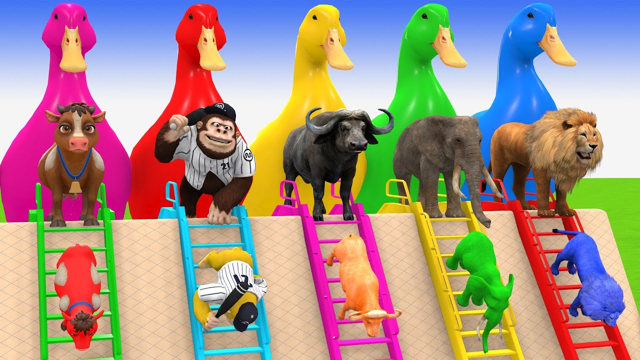 Long Slide Game With Cow Elephant Gorilla Hippopotamus Tiger 3d Animal Game Funny 3d Animals