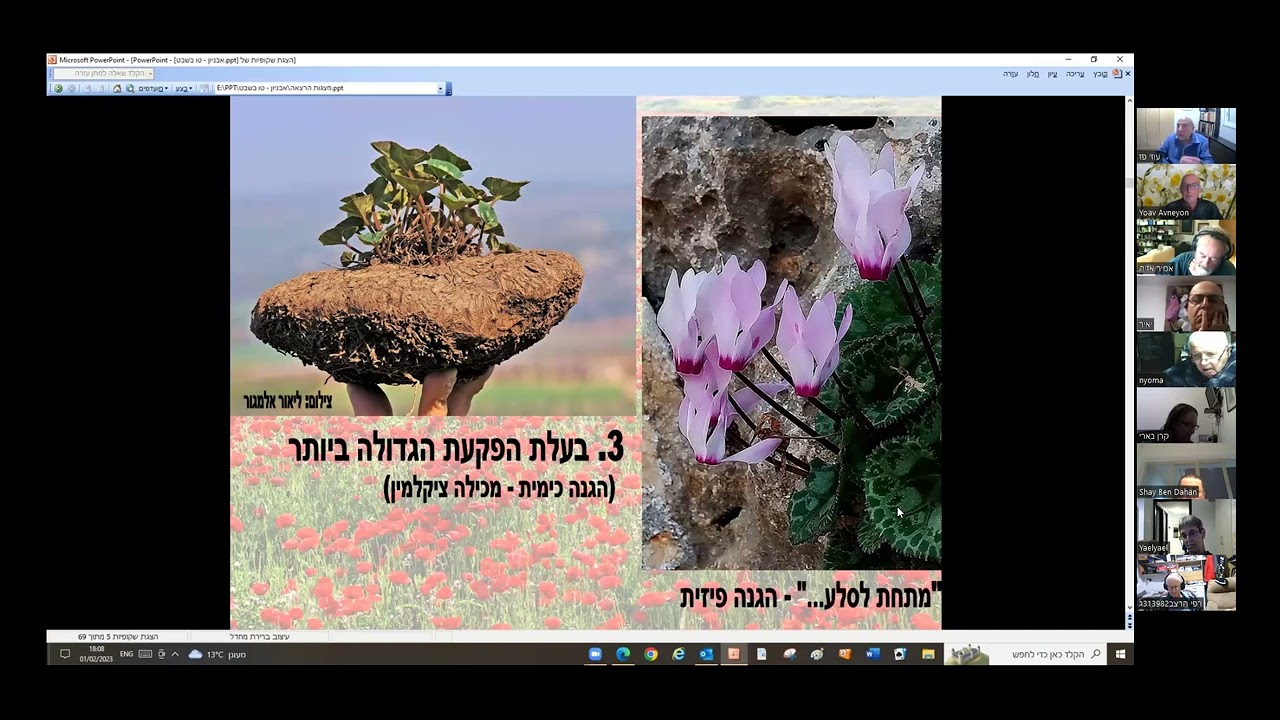 פרחי ארץ ישראל  - במציאות, באגדות ובאמנות - ד