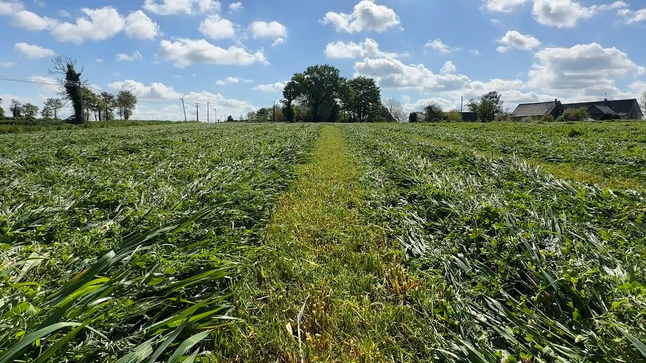 Quels sont les avantages de la prairie sous couvert de méteil ?