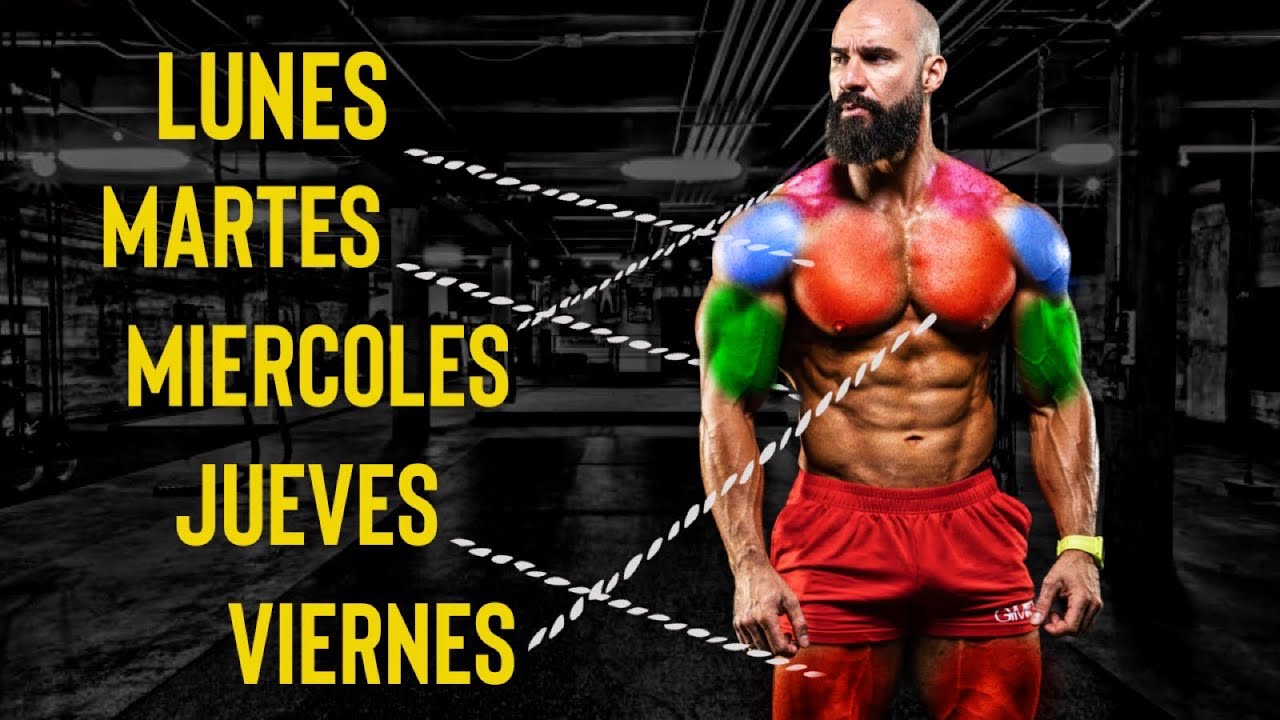 Transforma tu cuerpo: Semana completa en el gym