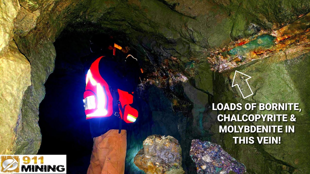 Mineralized Quartz Vein With Bornite, Chalcopyrite & Molybendonite In An Old Gold Mine!