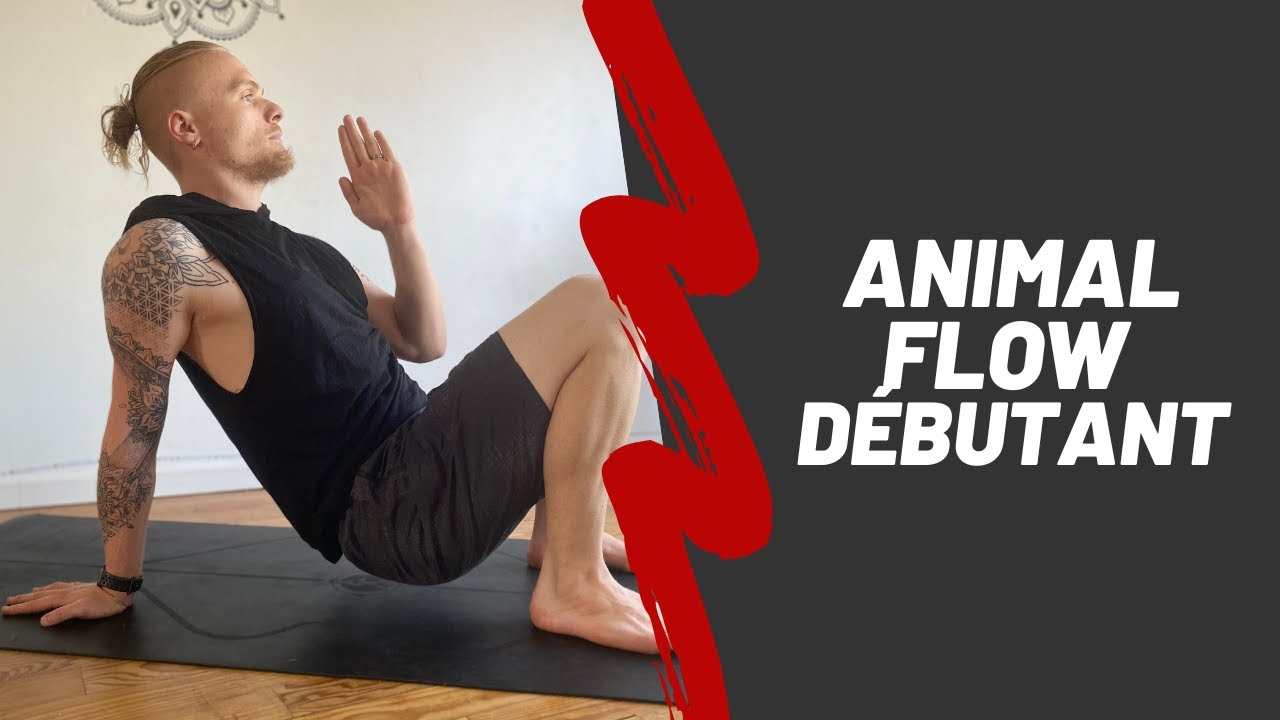 Cours Animal Flow débutant 40min