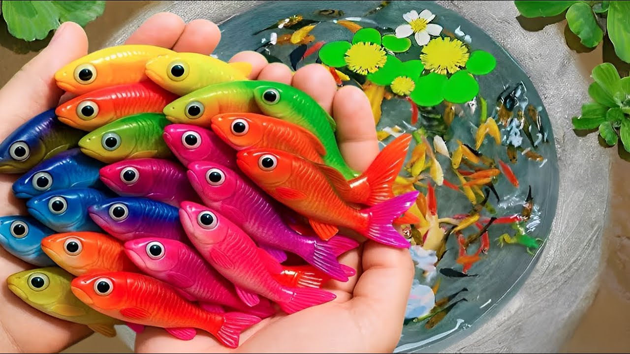 Amazing catches of colorful aquarium fish,candy fish,glass fish,small turtles, etc.in the small pond