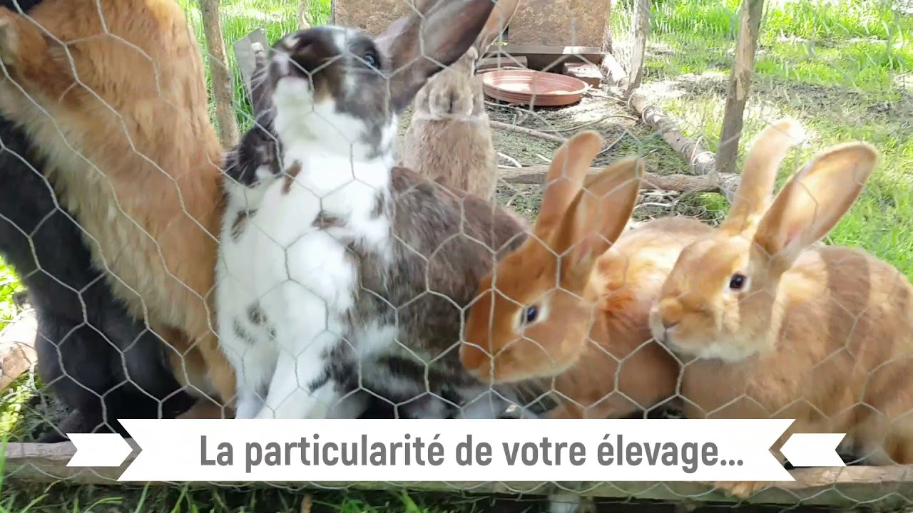 Ferme de Pimael