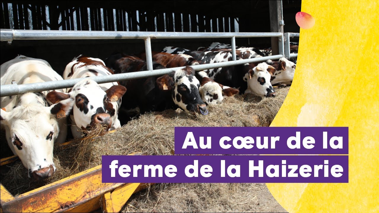 ESAT • Ferme de la Haizerie (présentation)