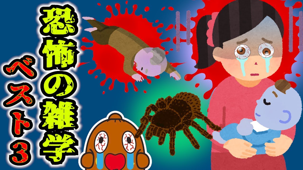 【怖い雑学】 恐怖の事故・犯罪ランキング！？ ねば～る君のしりたいおしえたい 豆知識  【恐怖の雑学】