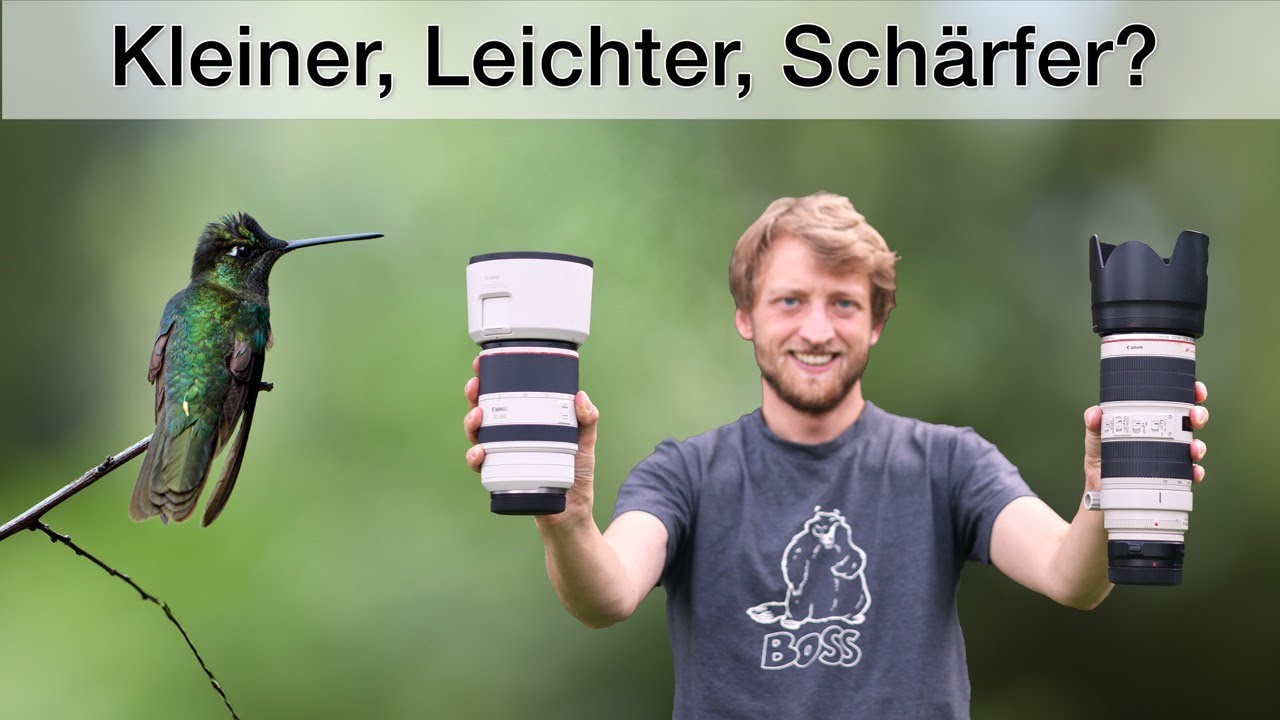 Canon RF 70-200 f/2.8 L IS - Meine Eindrücke aus der Tierfotografie (Review)